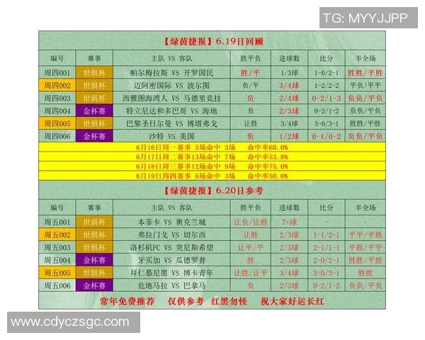 重庆足球队在杯赛中的强劲表现与未来发展潜力分析